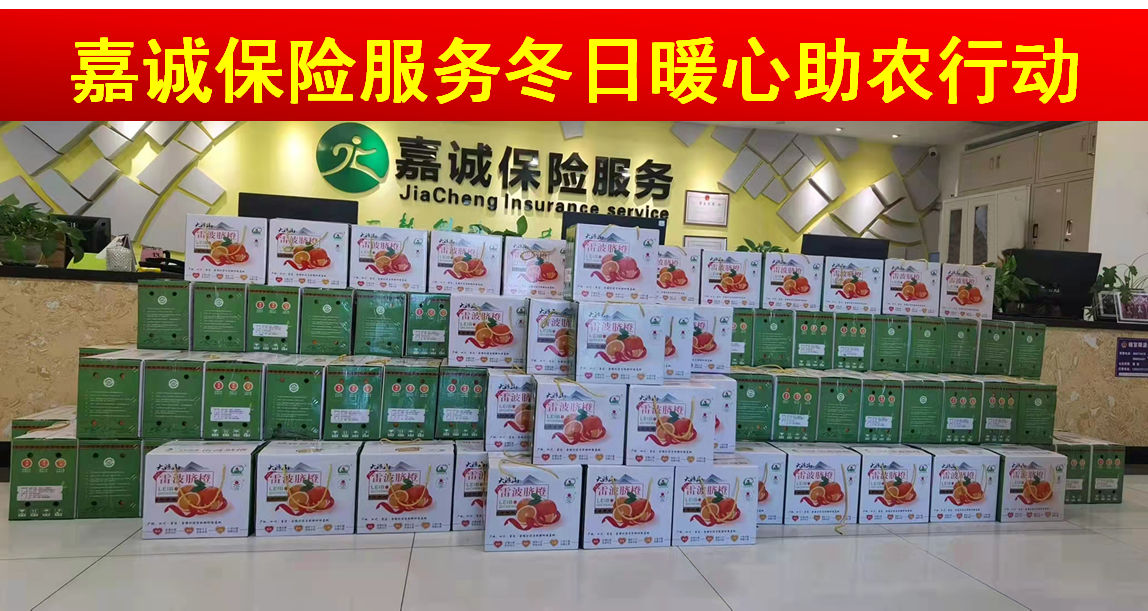嘉诚党支部开展“情暖雷波 爱心助农”主题党日活动
